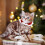 Christmas Pet Collar Elastic Dog Cat Collar 4