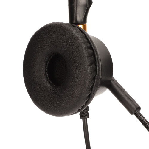 USB Business Headset ENC Binaural H600D 1