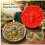 (Bee )Garden Stepping Stone Mold With Butterfly Bee Pumpkin Design For Projects Craft 3