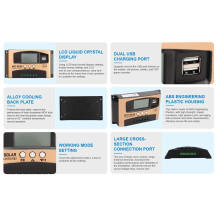 Solar Laderegler MPPT 30A Gold LCD