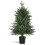 Christmas Tree Pre-Lit Artificial Mini Tabletop Black Pot Base for Home Office Green 1PCS 3