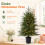 Christmas Tree Pre-Lit Artificial Mini Tabletop Black Pot Base for Home Office Green 1PCS 8