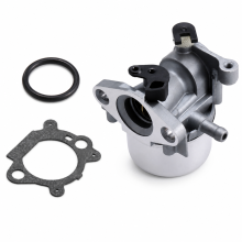 Carburateur compatibel met Briggs & Stratton 126M02 motor, vervangt 799871, 790845, 799866 en 796707