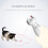 Automatic Cat Laser Toy – Interactive Pet Play for Cats & Dogs, Hands-Free Exercise 9