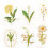 Blumenaufkleber 30er Set Papier Journal 11