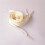 (White,20in/50cm)Lacet plat large double polyester ruban satin couleur bonbon divers modes 4