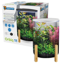 Superfish Orbiq 11 Litre Aquarium White Cylinder Tube Compact Cylindrical Fish Tank with Bamboo Stand Filter Pump LED Lighting Complete Setup Kit