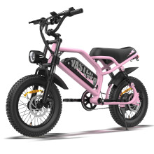 AVDLEU A13+ Vélo électrique tout-terrain pour jeunes 16 pouces, batterie amovible 36 V 12,8 Ah, moteur moyeu arrière 250 W (UE), pneus extra-larges