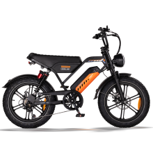 VASTER A50 20-Zoll Fat-Reifen E-Bike, 48V 15,6Ah (748,8Wh) Batterie, 250W-Motor, 20x4,0 Reifen, Rahmen aus Kohlenstoffstahl