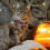 Halloween Cat Collar with Quick Release Bow and Bell 4