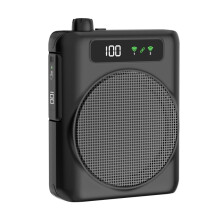 Voice Amplifier with 2 Microphones Portable Speaker System for Teachers