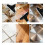 Floor Scraper, 4" Wide Heavy Duty  Blade Scraper Tool, 45.7" Long Handle, 10PCS Extra Metal Blades, 7
