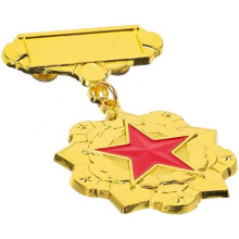 Abaodam Alloy Medal Brooch - Creative Party Competition Award Prizes School Birthday Gift for Young Girls Gold