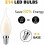 Λάμπα LED E14 με ρυθμιζόμενο νήμα, σετ 10 λαμπτήρων φλόγας, ισοδύναμη κατανά 3