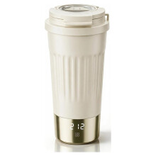 Dubbelspanning Elektrische Reiswaterkoker, Draagbare Waterkoker met 6 Temperatuurstanden en LCD-Display, 400 Ml / Cadeau voor Mannen en Vrouwen,