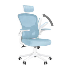 naspaluro Office Desk Chair with Flip-Up Armrest High Back Ergonomic Computer Ch