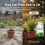 Laeto Multi Purpose Compost 20L - Premium Potting Compost for Healthy Growth Top 7