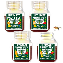 Fruit Fly Trap Paper Catcher - Instantly Attracts (4)