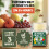 Fruit Fly Trap Paper Catcher - Instantly Attracts (4) 2