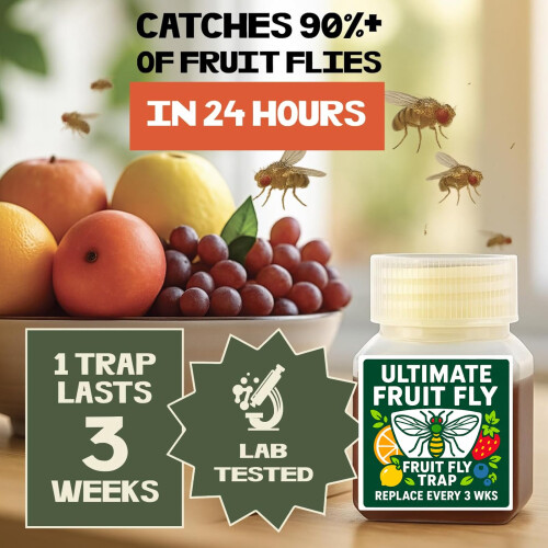 Fruit Fly Trap Paper Catcher - Instantly Attracts (4) 1