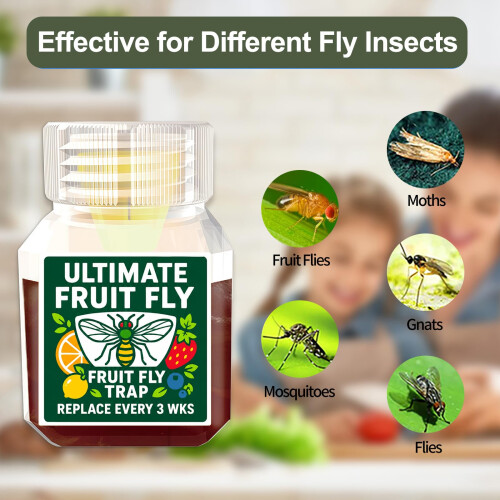 Fruit Fly Trap Paper Catcher - Instantly Attracts (4) 2