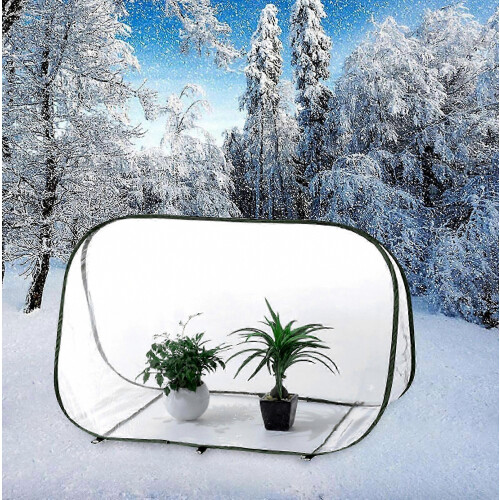 Mini serre compacte pour la protection hivernale des plantes - Solution d'hivernage