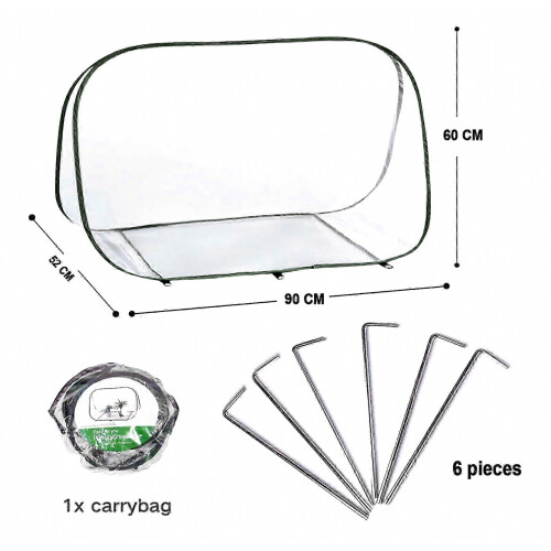 Mini serre compacte pour la protection hivernale des plantes - Solution d'hivernage 2
