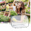 Mini serre compacte pour la protection hivernale des plantes - Solution d'hivernage 4