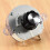 Ozone Generator Air Purifier Timer Control Equipment Timer Ozone Generator Accessories 7