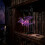 Magical Flying Dragon Bookshelf Lamp with Warm LED Night Light 3