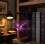 Magical Flying Dragon Bookshelf Lamp with Warm LED Night Light 5
