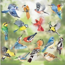 17-Piece Spring Bird Window Decals, Colourful Hummingbird Stickers, Anti-Collision Film for Glass, Seasonal Home Decoration