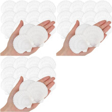 75pcs Natural Scallop Shells From Seaside for DIY Painting Ocean Theme Party Wedding Home Decoration 5.08-7.62cm