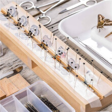 2X Stainless Steel Insect Pins Kit Specimen Entomology Pins Butterfly Collections Needles Variety Pack for School Lab