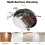 4-Pack Main Brushes for   104/105/105X Vac & Combo Replacement Multi-Surface Rubber Roller Brushes for Y0140 5