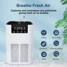 H13 HEPA Ion Air Purifier Office Bedroom Air Sterilizer with Plasma Aroma Filter