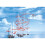 PLAYMOBIL Sky Trails Starter Kit 72269 XXL Starter Kit 2