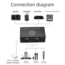 Dual Channels Passive Hum Eliminator Box Fully Automatic Feedback Suppressor for Audio Equipments Only Cable