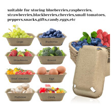 Panier à Baies en Fibre de Pulpe de 50 Pièces pour la Cueillette des Fruits, Panier à Baies Moulé pour Myrtilles, Framboises, Cerises, Fraises