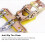Universal Schneeketten 8er 165-265mm 4