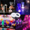 25pcs LED Coaster Light  Coasters LED Bottle Light Bottle Glorifier LED Stickers Coaster Light  for Drinks Green 8