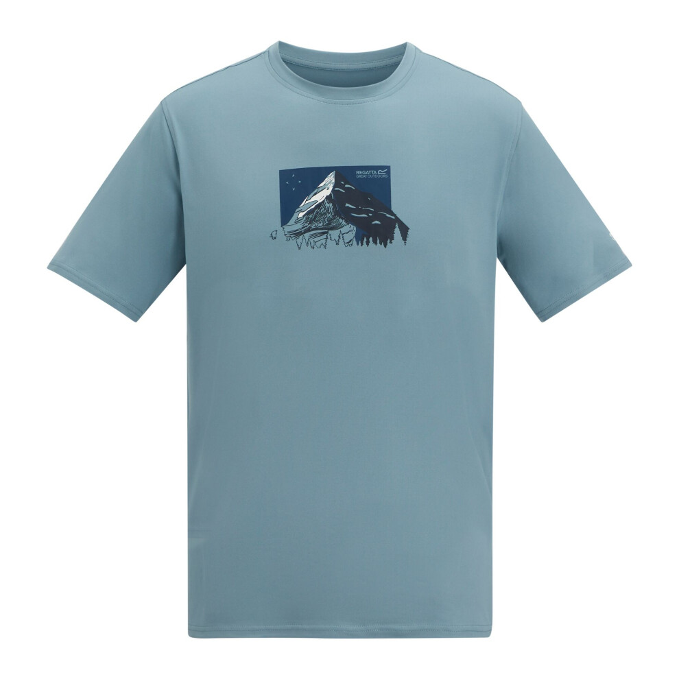 Regatta (L, Dusky Blue) Mens Fingal Mountain Range T-Shirt