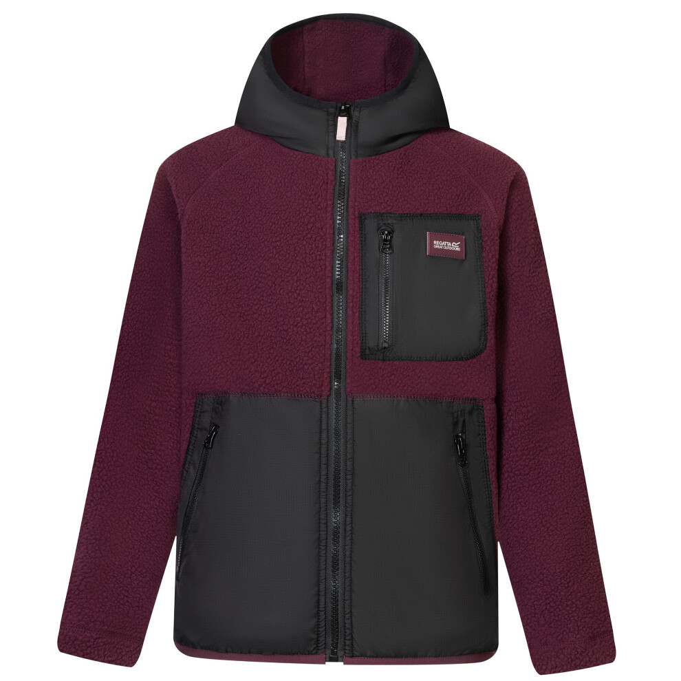Regatta (13 Years, Fig/Black) Childrens/Kids Munro Hybrid Jacket