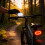 Mountain Bicycle Night Riding Light Waterproof Usbc Rechargeable Camping For 6