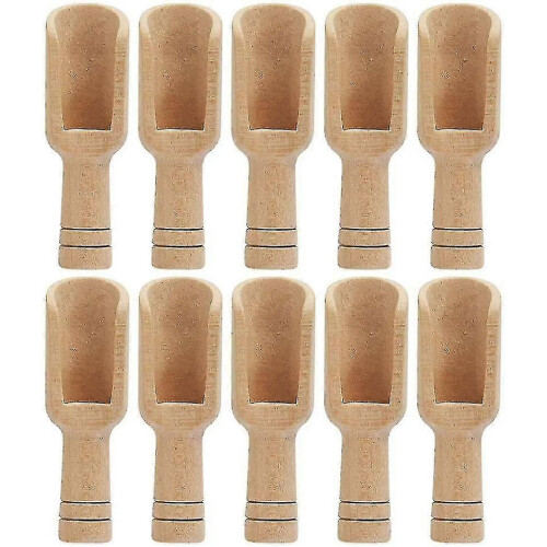 New 10 Pieces Mini Spoons, Tea Scoops Mini Bath Salt Spoon S
