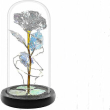 Birthday Gift Artificial Rose Light in Glass with LED Lights, Decorative Flower Lamp for Home Bedroom Decor