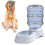 Distributore automatico di acqua a gravità da 1 gallone per cani e gatti, abbeveratoio resistente. 5