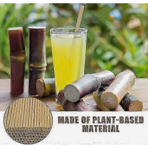 Biodegradable Sugarcane Drinking Straws, 200 Count, Eco Friendly Disposable Straws for Cold Beverages 2
