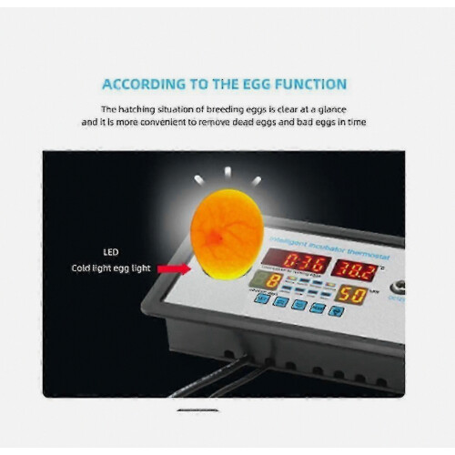 Automatic 360 Egg Incubator with Digital Smart Thermostat, Temperature and Humidity Control, Stable Precision for Home H 2
