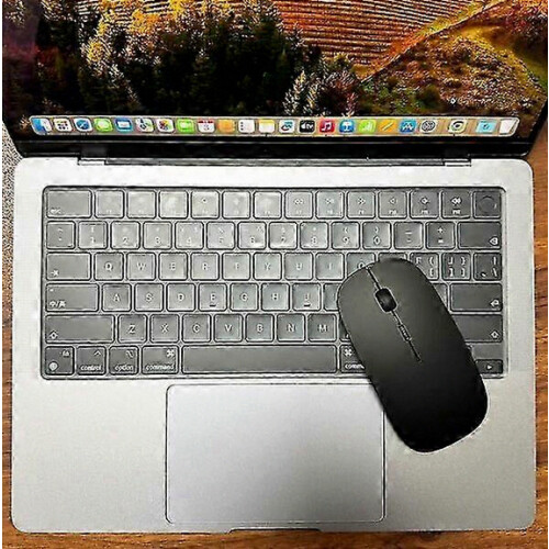 Bluetooth Mouse with 450mAh Lithium Battery, Auto Sleep Function, Portable Optical Mouse for Windows and Android Devices 2